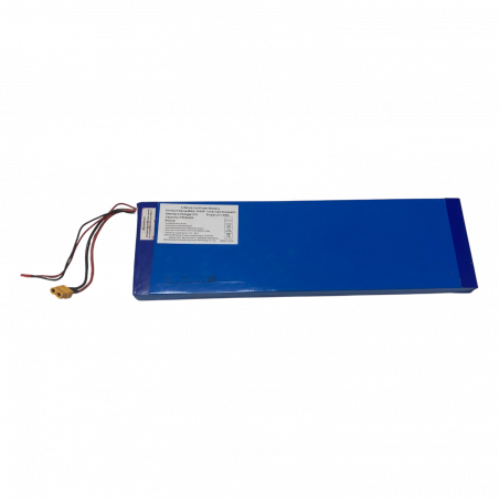 Batterie 7,5 A.h für Elektro-Skateboard Evo-Spirit