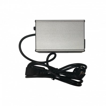 Caricabatterie - 4A - 42V - Presa Lumberg per skateboard elettrico Evo-Spirit