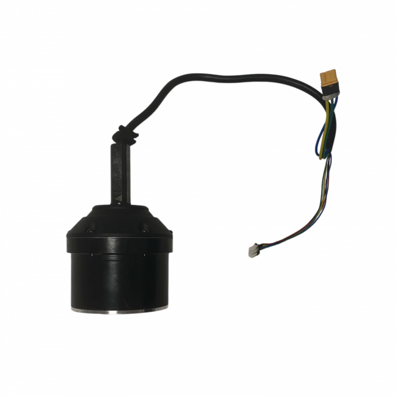 Moteur 600W pour Cruz V2 - Skateboard Électrique Evo-Spirit