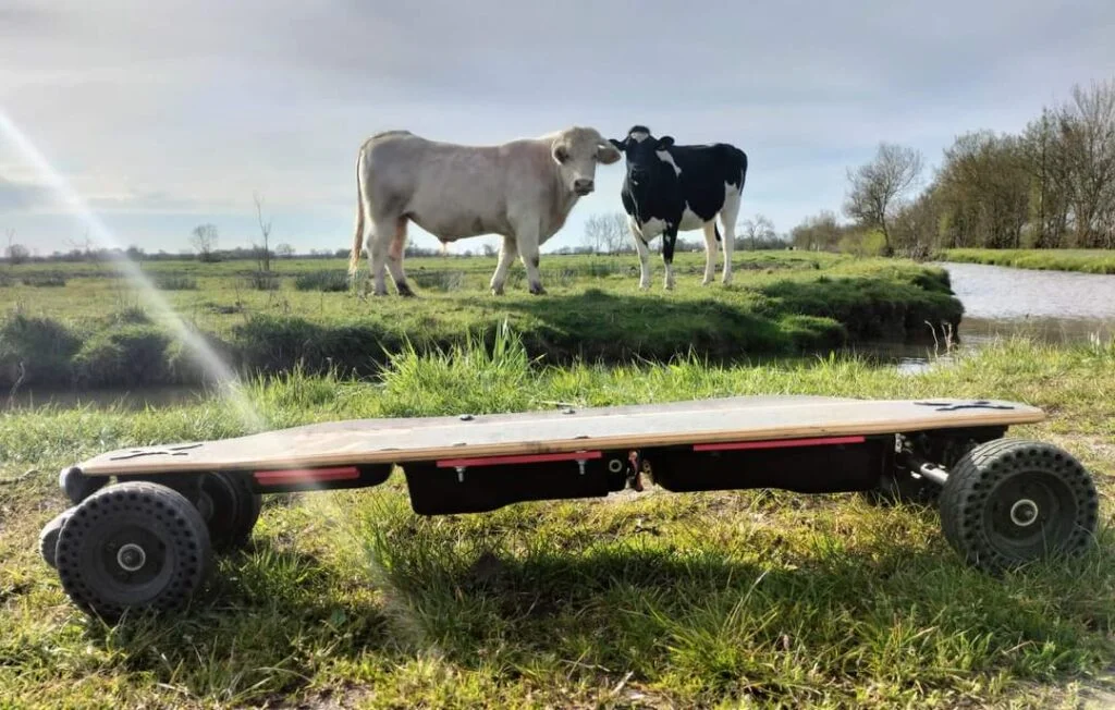 Membres de la communauté utilisant des skates électriques Evo