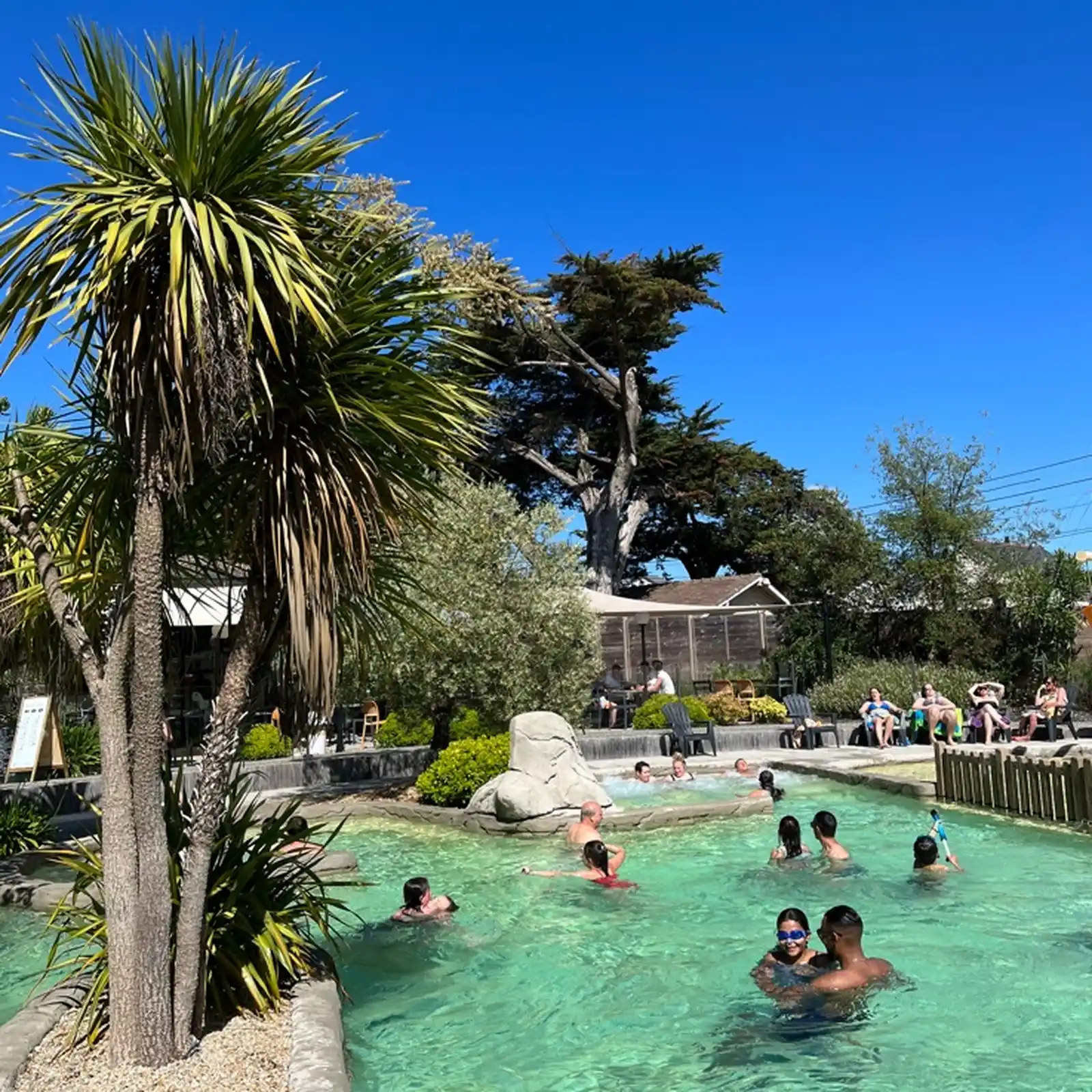 Piscine avec palmiers Camping Bel Air