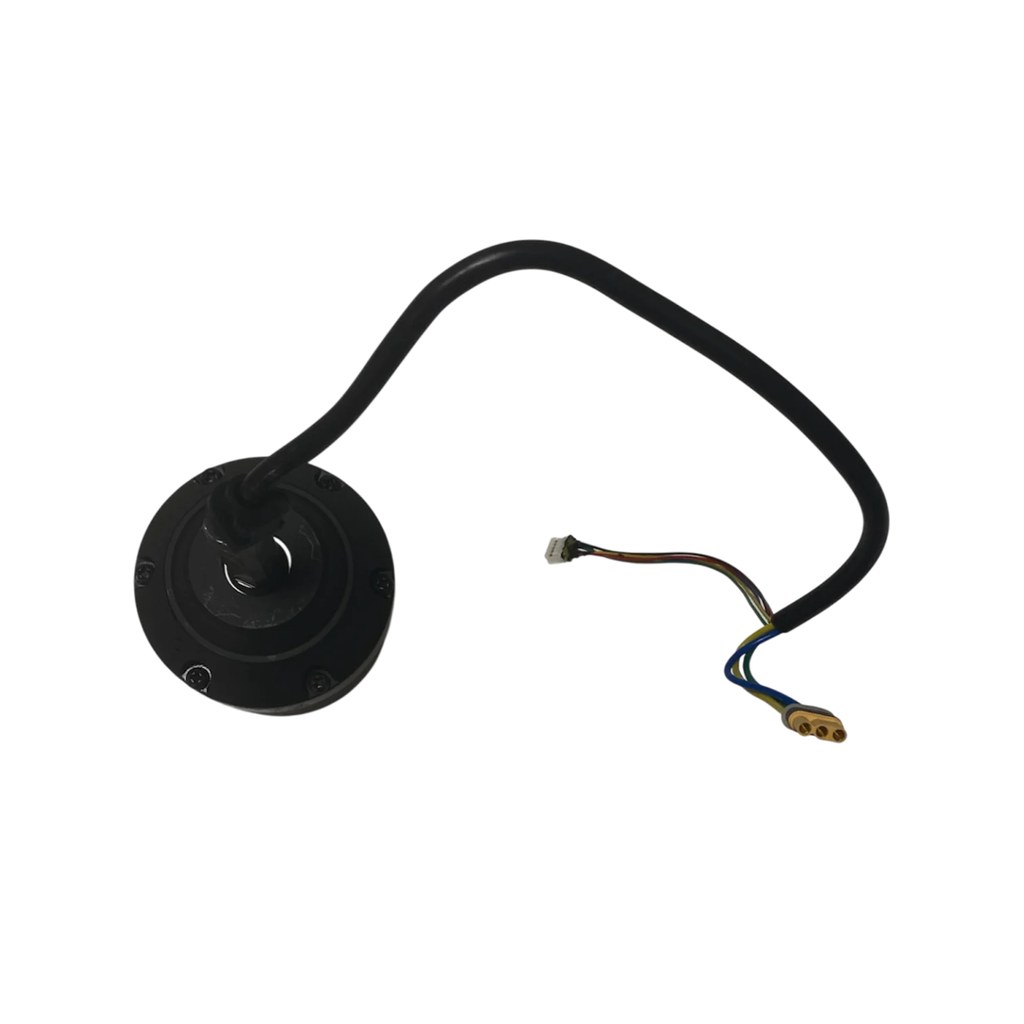 [IDS-PES-399] Motore 600W Cruz V2