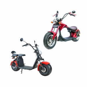 Scooter et Moto électriques