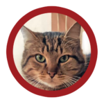 orson chat skate electrique-team.png