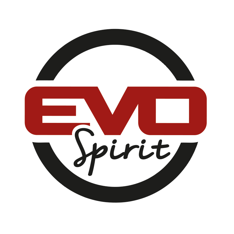 Evo-Spirit, pionner dans le skate électrique